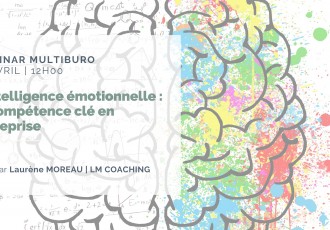 formation webinar intelligence emotionnelle